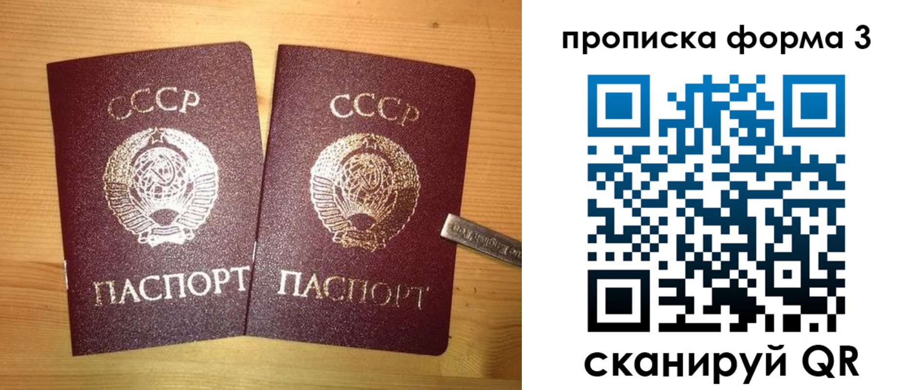 прописка иностранных граждан в Димитровграде