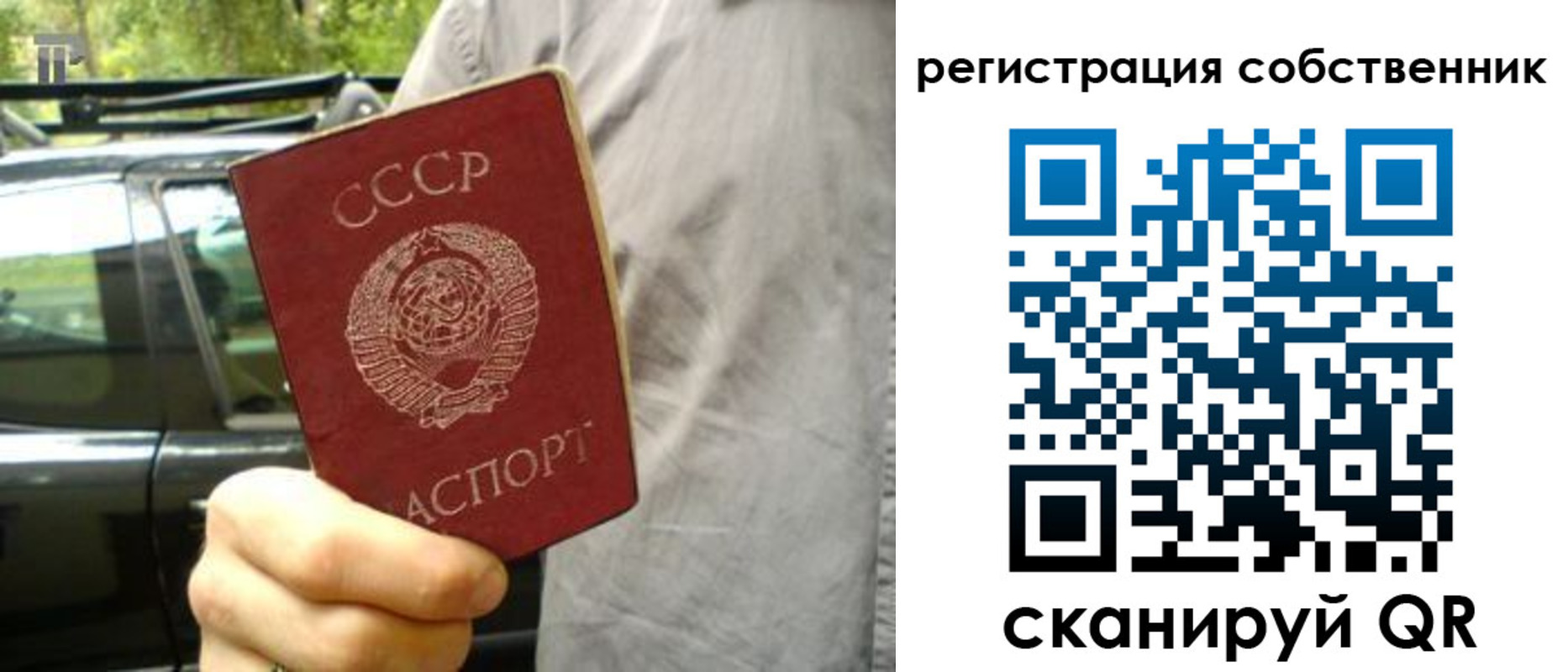 прописка 2025 в Димитровграде