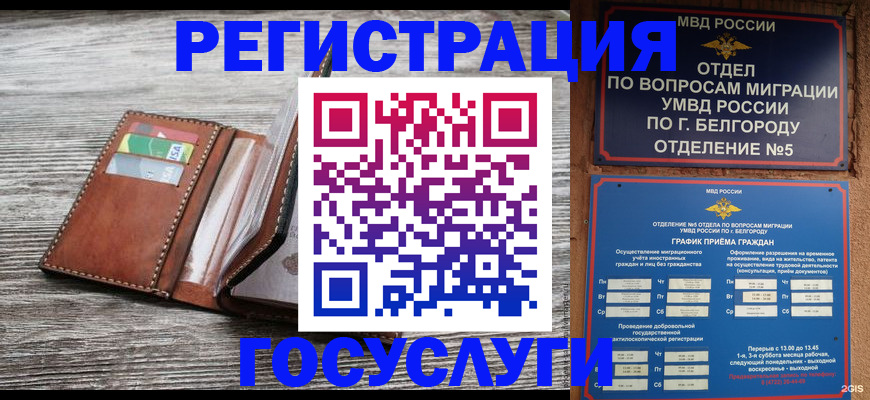 временная регистрация гарантия в Димитровграде